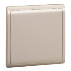 1G BLANK PLATE ,WG